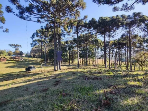 Imagem CHÁCARA NA REGIÃO NO BUGRE EM BALSA NOVA