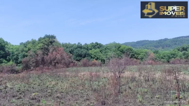 Imagem Fazenda para Venda em Centro Canguçu-RS - 2055