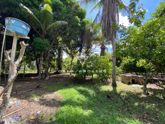 Imagem SITIO RURAL em SANTA CRUZ CABRÁLIA - BA, BR 367