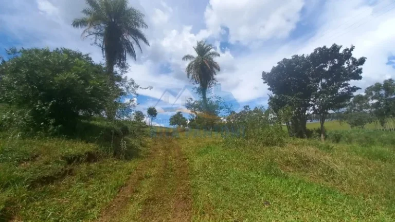 Imagem Rancho - Santo Antônio da Alegria - Poção