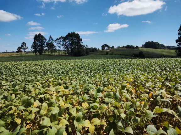 TERRENO RURAL em CAMPO BELO DO SUL - SC, Área Rural