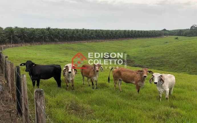 Imagem Fazenda/Sitio, Residencial/Comercial para Venda, Centro, Caraiva