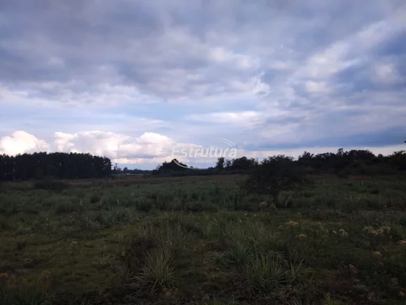 Imagem Excelente terreno para investidores na BR 287