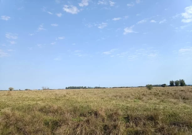 Imagem Fazenda à Venda – 583 Hectares – Viamão/RS