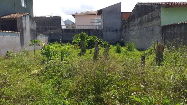 Imagem Terreno à venda, 250 m² por R$ 240.000,00 - Massaguaçu - Caraguatatuba/SP