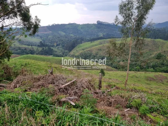 Imagem Chácara à venda 744000M², Zona Rural, Castro - PR