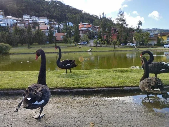 Imagem Terreno em Condomínio para Venda em Teresópolis / RJ no bairro Vargem Grande