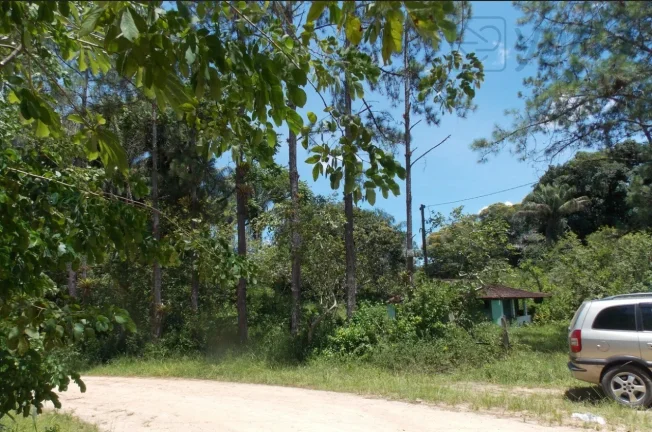 Imagem Imperdível sítio à venda em Juquiá/SP, Zona Rural: 2 quartos, 1 sala, 1 banheiro, 173.000,00 m² de área!