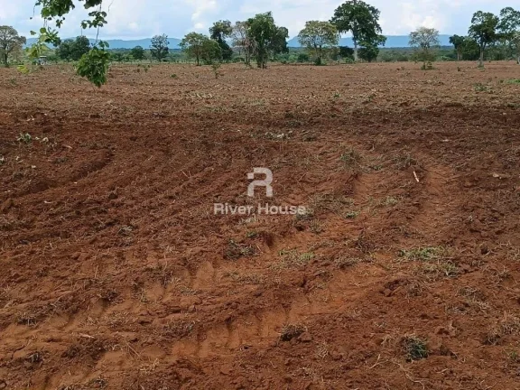 Imagem Fazenda a venda com 890 hectares Dupla aptidão na Região de Nossa senhora do Livramento Livramento MT