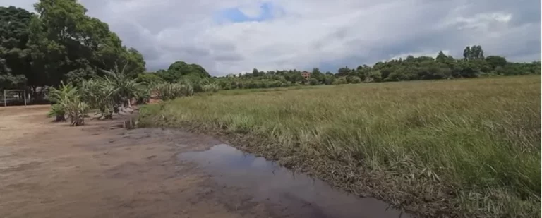 Imagem ENORME SÍTIO À VENDA EM GUARAPARI !!!