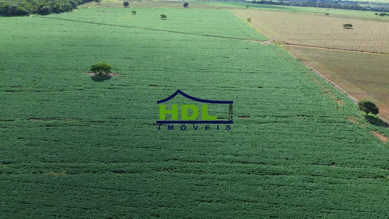 Imagem Área Comercial na BR-153 Hidrolândia GO