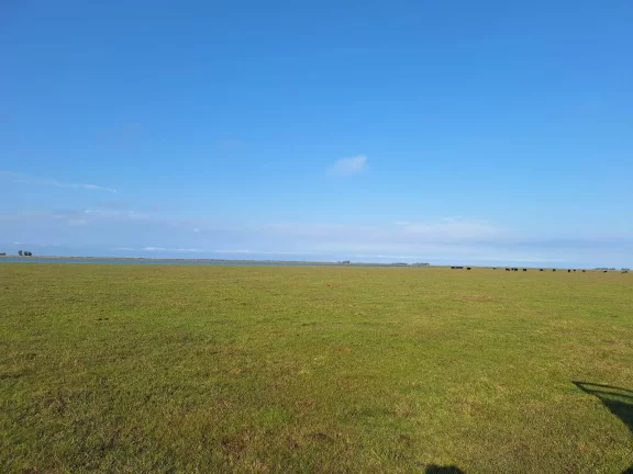 Excelente Área de 130 Hectares para Cultivo de Arroz – Viamão/RS