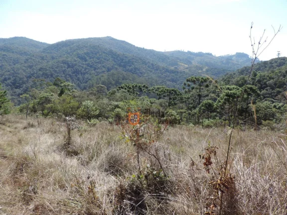 Imagem Sítio com 2 dormitórios à venda, 1000000 m² por R$ 28.000.000,00 - Dos Marmelos - Campos do Jordão/SP