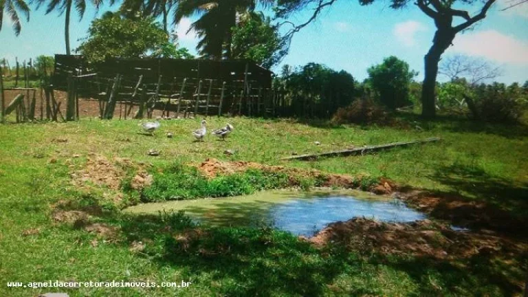 Imagem Fazenda para Venda em Extremoz, capim -extremoz, 3 dormitórios, 1 suíte, 2 banheiros, 6 vagas