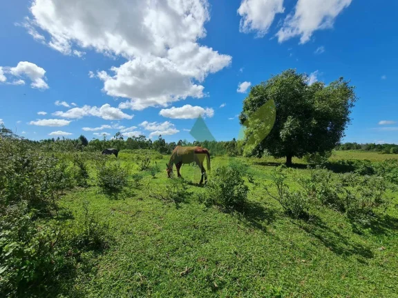 Imagem FAZENDA PEROBAS - OPORTUNIDADE ÚNICA DE INVESTIMENTO EM ARARUAMA/RJ