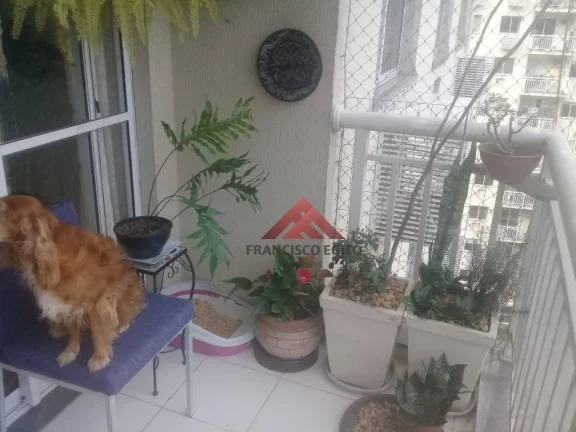 Imagem Apartamento com 3 dormitórios à venda, 74 m² - Maria Paula - Niterói/RJ
