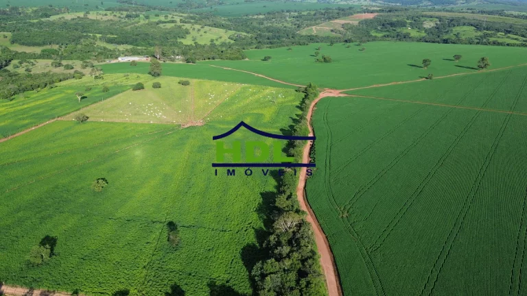 Imagem Fazenda 70 Alqs Dupla Aptidão plantada em Soja em Bela Vista GO