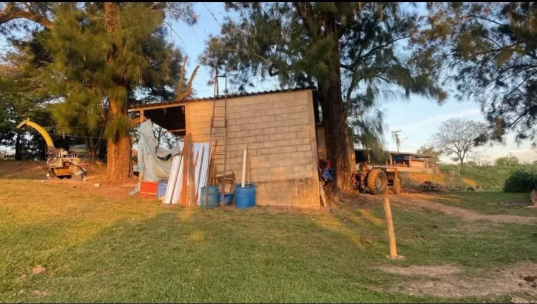 Imagem Chácara para Venda em São Pedro, --------------, 1 dormitório, 1 banheiro, 10 vagas