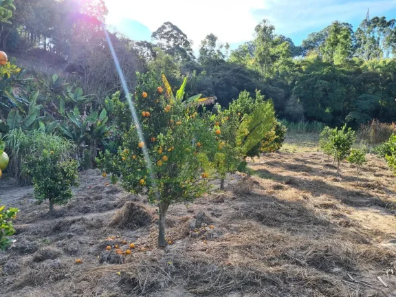 Imagem Sítio à Venda em Piracaia com 55.000m²