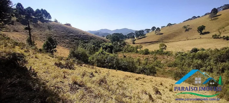 Imagem Conecte-se à Natureza: Terreno Rural com Nascente e Vista Panorâmica!