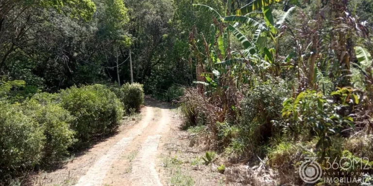 Imagem Terreno para Venda em Pedra Bela / SP no bairro Acampamento anchieta