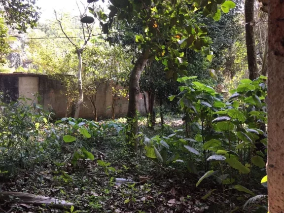 Imagem Terreno à venda, 500 m² por R$ 390.000,00 - Parque Palmeiras - Suzano/SP