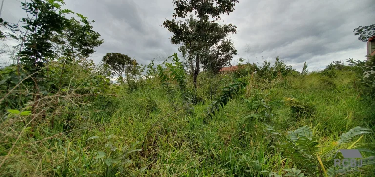 Imagem TERRENO RESIDENCIAL em ESMERALDAS - MG, FERNÃO DIAS