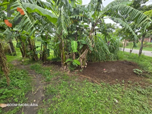 Imagem Sítio com 1 dormitório à venda, 36480 m² por R$ 3.000.000,00 - Santa Rosa - Queimados/RJ