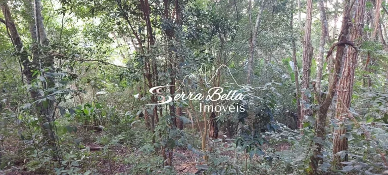 Imagem Terreno em Golfe, Teresópolis/RJ