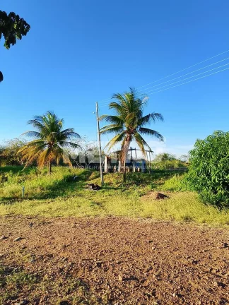 Imagem Fazenda de com 20 hectares produzindo e com Infraestrutura, CASA NOVA - BA