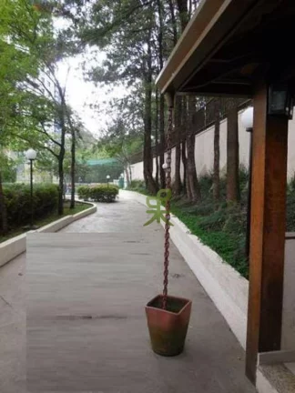 Imagem Apartamento com 3 dormitórios à venda, 95 m² por R$ 1.119.000,00 - Vila Indiana - São Paulo/SP