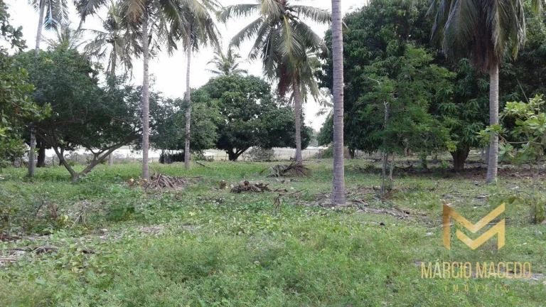 Imagem Terreno à venda, 247664 m² por R$ 1.200.000,00 - Zona Rural - Beberibe/CE