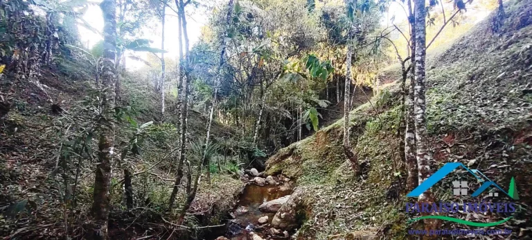 Imagem Chácrinha para locação em Gonçalves MG | Serra da Mantiqueira