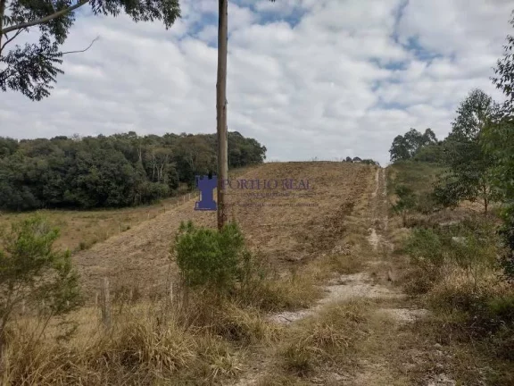 Imagem ÁREA PARA PLANTIO EM BALSA NOVA REGIÃO DO BUGRE