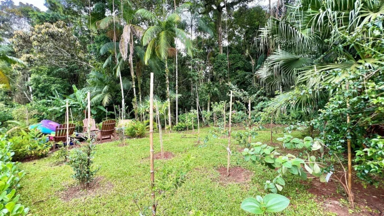Imagem Casa com 5 dormitórios à venda, 420 m por R$ 9.200.000,00