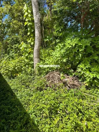 Imagem Terreno na Praia do Estaleiro, Balneário Camboriú/SC