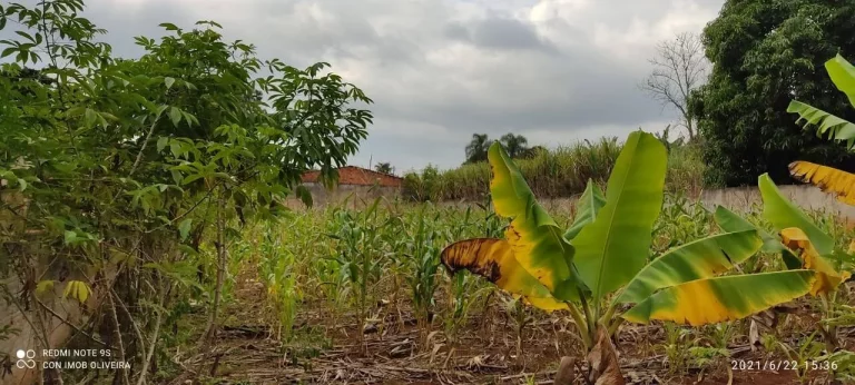 Imagem Terreno à Venda, 1.000 m² em Bosque Dos Eucaliptos - Araçoiaba Da Serra