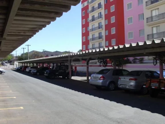 Imagem Apto com 3 dormitórios e 1 suite em Campinas perto do Shopping D. Pedro