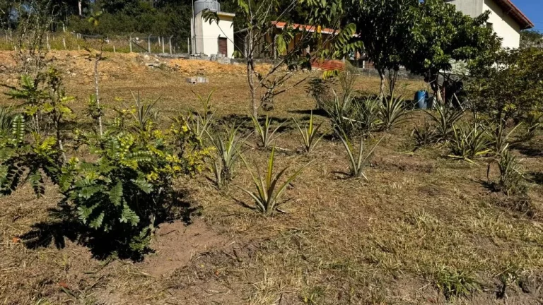 Imagem Terreno à venda, 2 m² por R$ 270.000,00 - Centro - Igaratá/SP