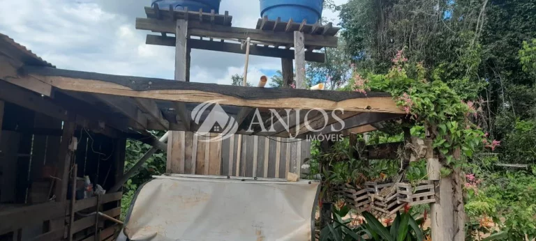 Imagem OPORTUNIDADE PARA VOCÊ QUE BUSCA COMPRAR SUA CHACARA, SINOP - MT