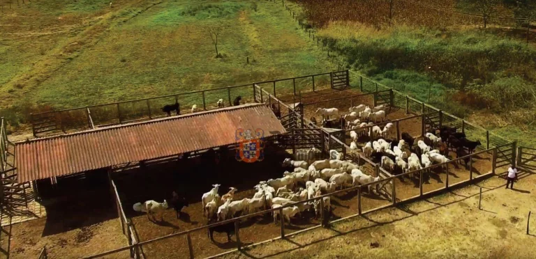 Imagem Fazenda à venda, 5422080 m² por R$ 30.000.000,00 - Alexânia - Alexânia/GO