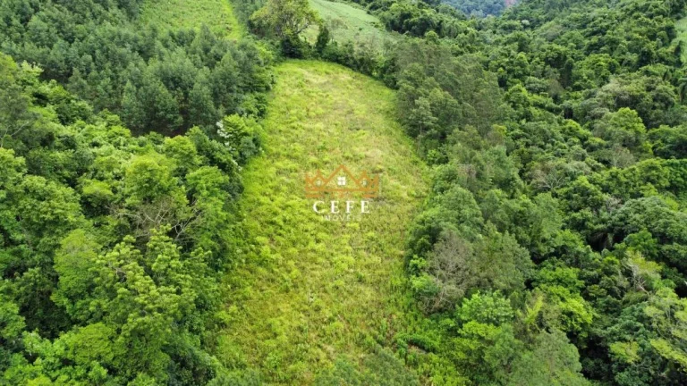 Imagem Chácara - Sítio com 2 Dormitorio(s) localizado(a) no bairro Boa Vista do Herval em Santa Maria do Herval / RIO GRANDE DO SUL Ref.:1600