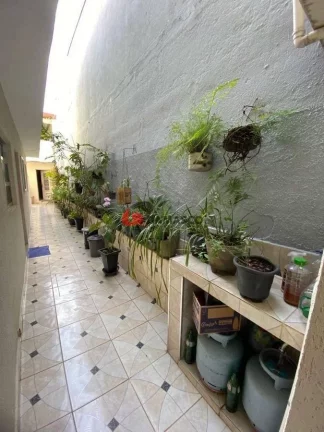 Imagem Casa à venda 1 Quarto, 2 Vagas, Vila Palmares, Santo André - SP