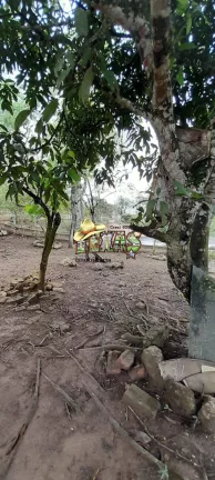 Imagem Chácara em Suzano