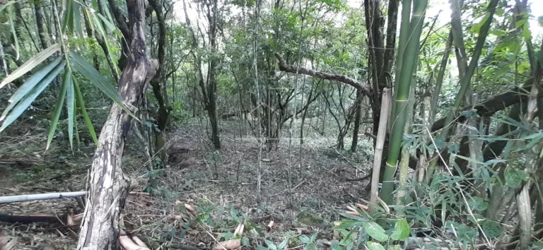 Imagem Terreno para Venda em Florianópolis / SC no bairro Vargem Grande