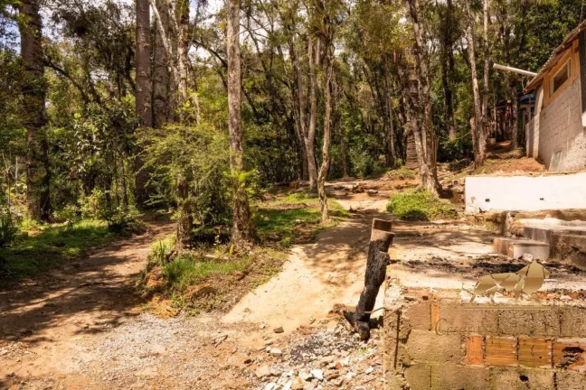 Imagem Terreno com 3132m a venda em Campos do Jordão