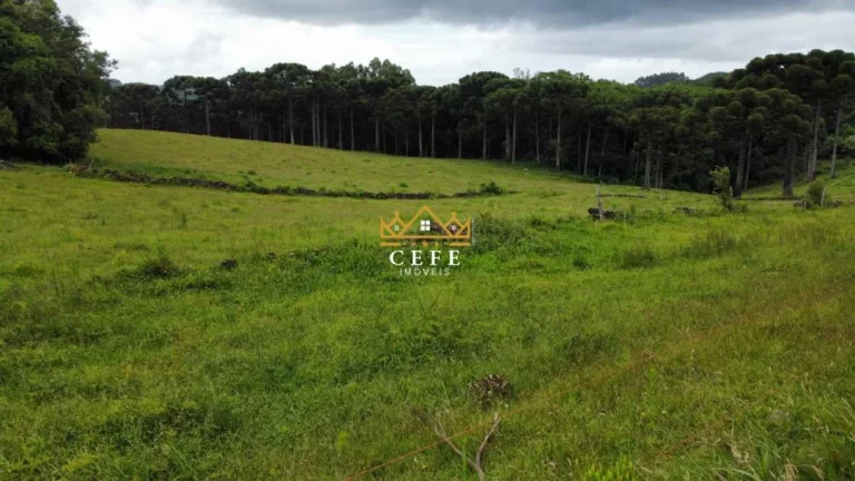Imagem Chácara - Sítio com 3 Dormitorio(s) localizado(a) no bairro Zona Rural em Santa Maria do Herval / RIO GRANDE DO SUL Ref.:1545
