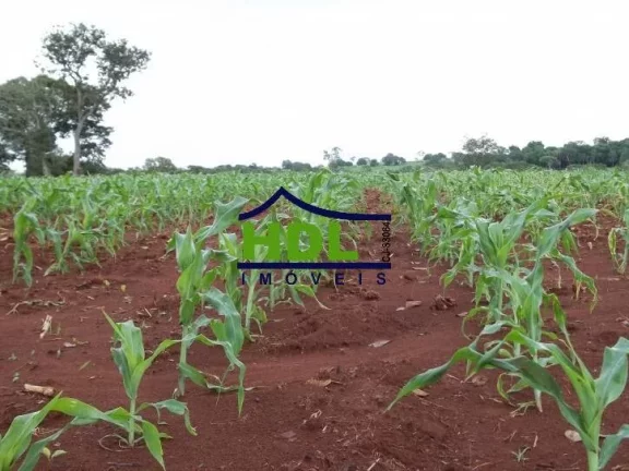 Imagem FAZENDA 24 ALQS CULTURÃO BEIRA RIO