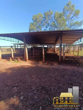 Imagem Chácara com 3 Quartos à Venda, em Portal das Araras - Três Lagoas