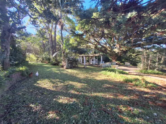Imagem Sítio à Venda – Localização Privilegiada em Viamão/RS – 4,9 Hectares